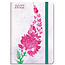 Petit Paris Illustraties Pre Order