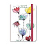Petit Paris Illustraties Pre Order