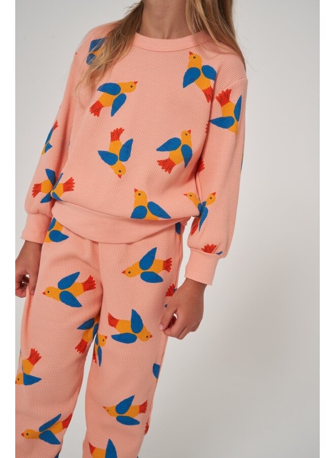 Tiny Cottons Sweatshirt Birds Papaya