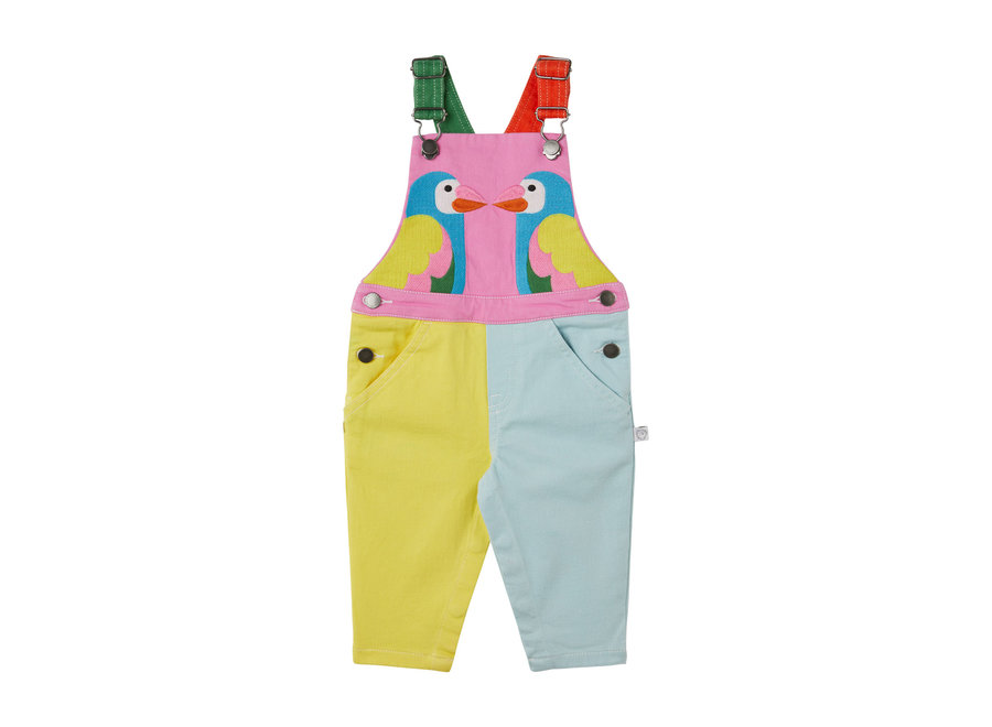 Dungaree Colourful Parrots