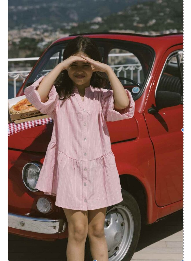 Charlie Petite Dress Isabelle Stripes Pink/White
