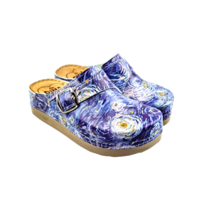Medical Clogs with  Van Gogh painting starry night