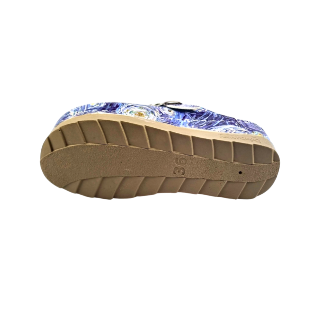Medical Clogs with  Van Gogh painting starry night