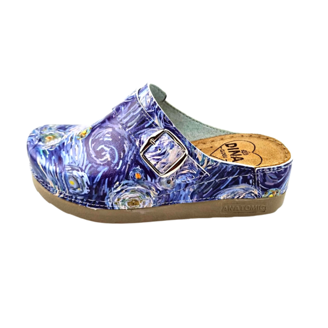 Medical Clogs with  Van Gogh painting starry night
