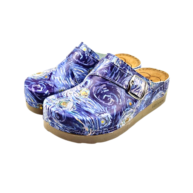 Medical Clogs with  Van Gogh painting starry night