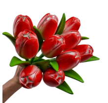 Bouquet of red tulips r/w (10,20 or 30 pieces)