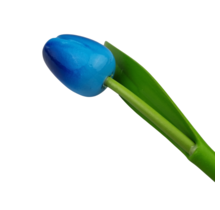 Wooden tulip blue on stem with leaf