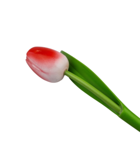 Wooden tulip red w/white on stem with leaf 30cm