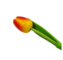 Wooden tulip yellow/orange 30cm
