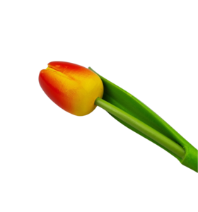 Houten tulp geel/rood op steel met blad 30cm