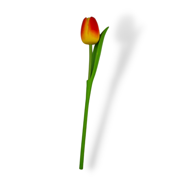 Wooden tulip yellow/Red 30cm