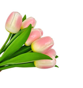 Bouquet of pink tulips r/w (10,20 or 30 pieces)