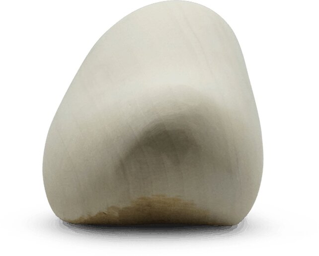 Original plain wearable clogs