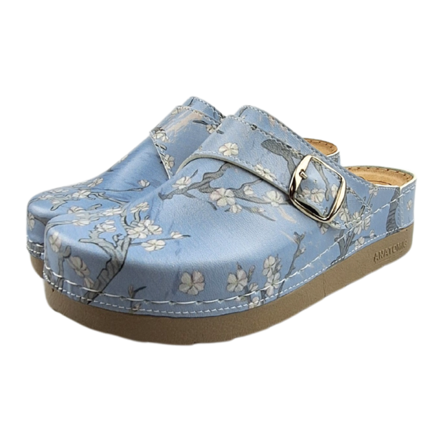 Medical Clogs with  Van Gogh painting Almond blossom