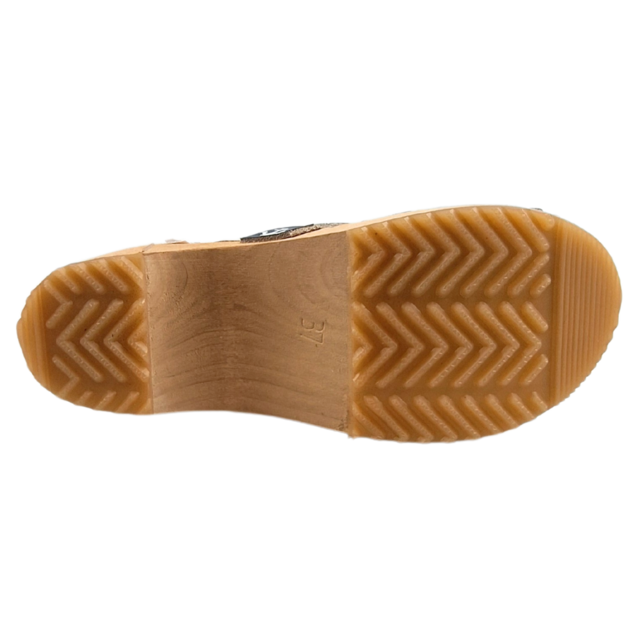 Dina Blue anchors open Dina Blue anchors open