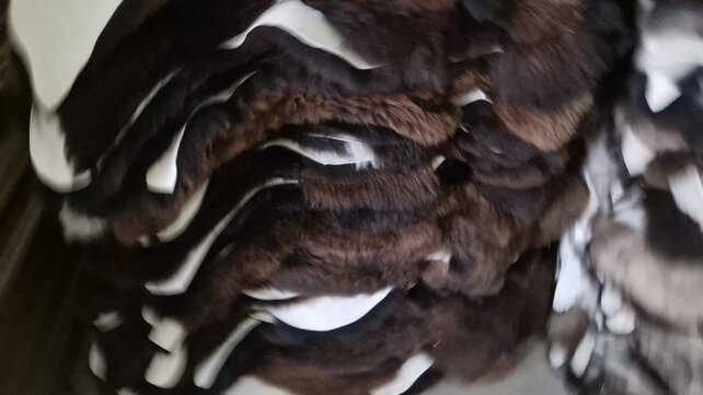 Sheepskins brown/white/icelandic