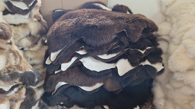 Sheepskins brown/white/icelandic
