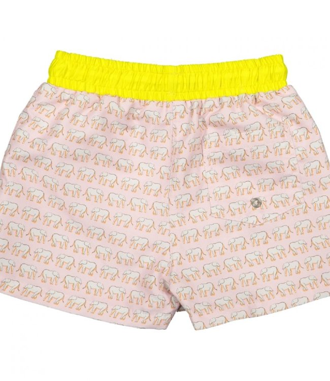 Zwemshort ELEPHANT