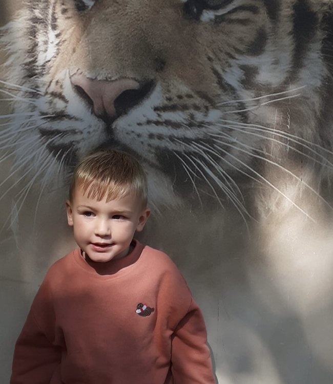 Ridges & Steam Take me to the sea - Reddish