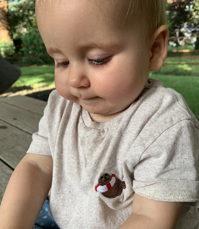 Ridges & Steam T-Shirt Sea Lion