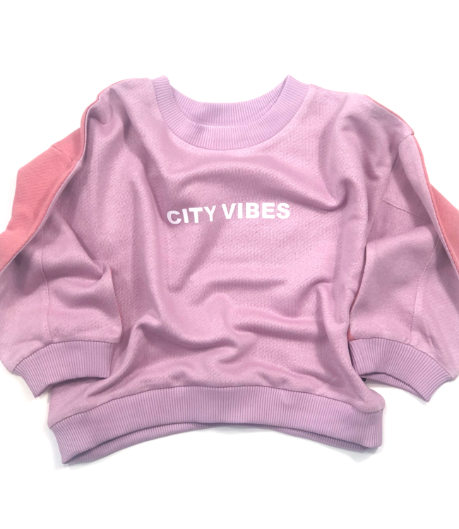 Vega Basics Colorblock sweater in roze en lila