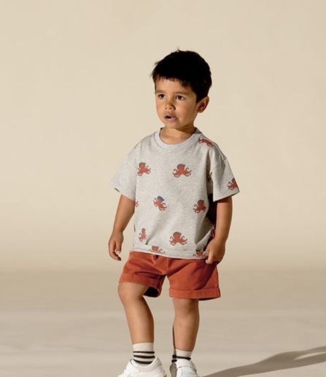 House Of Jamie Zomerse Bermuda