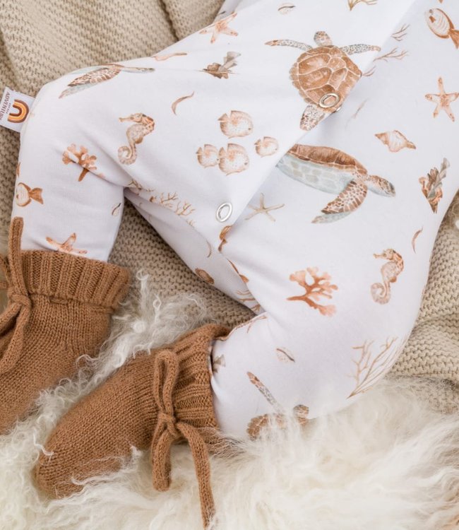 Little Adventure Boxpakje Schildpad