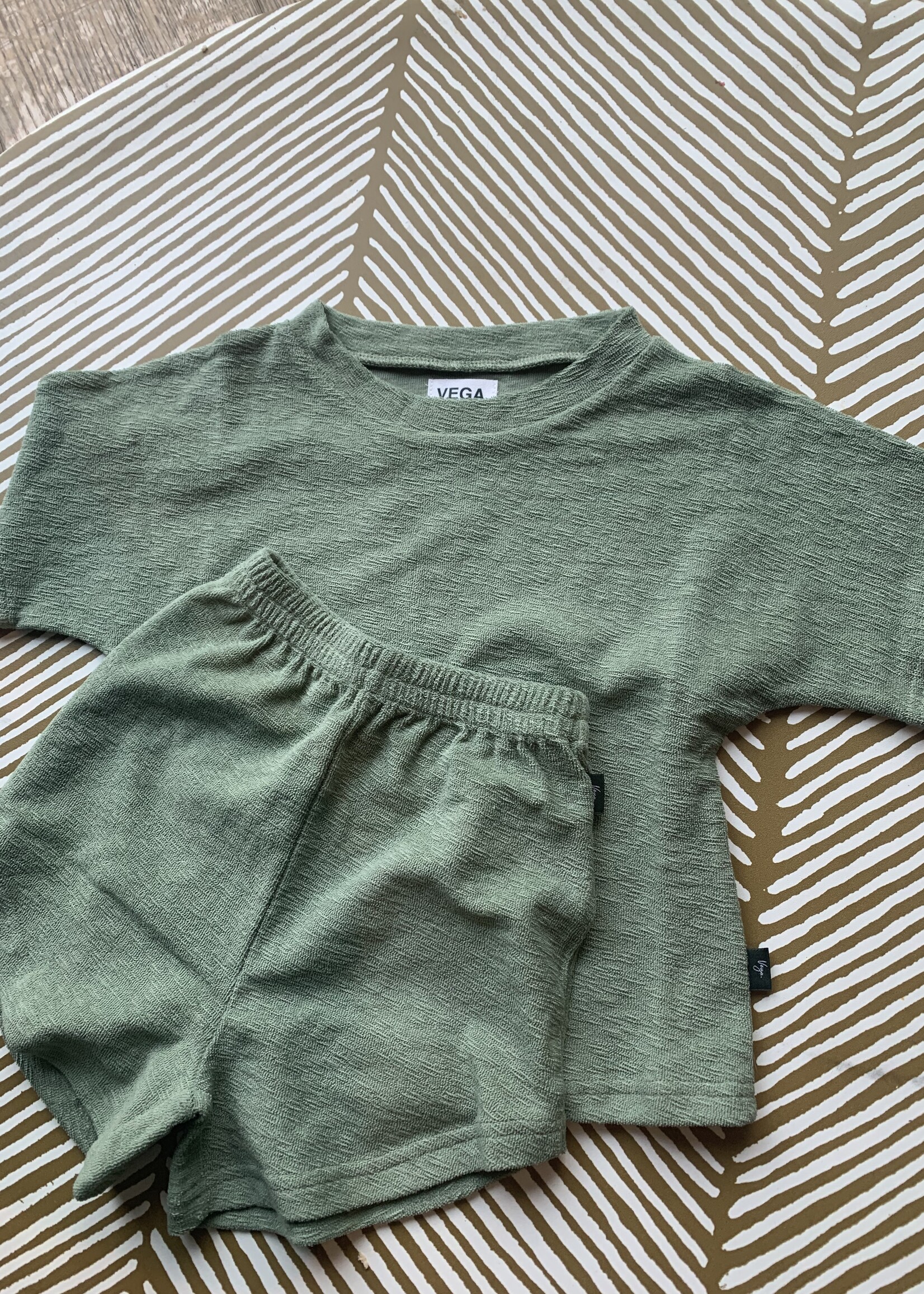Vega Basics Groene t-shirt in zachte terry
