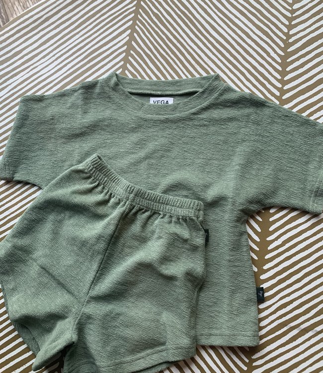 Vega Basics Groene t-shirt in zachte terry