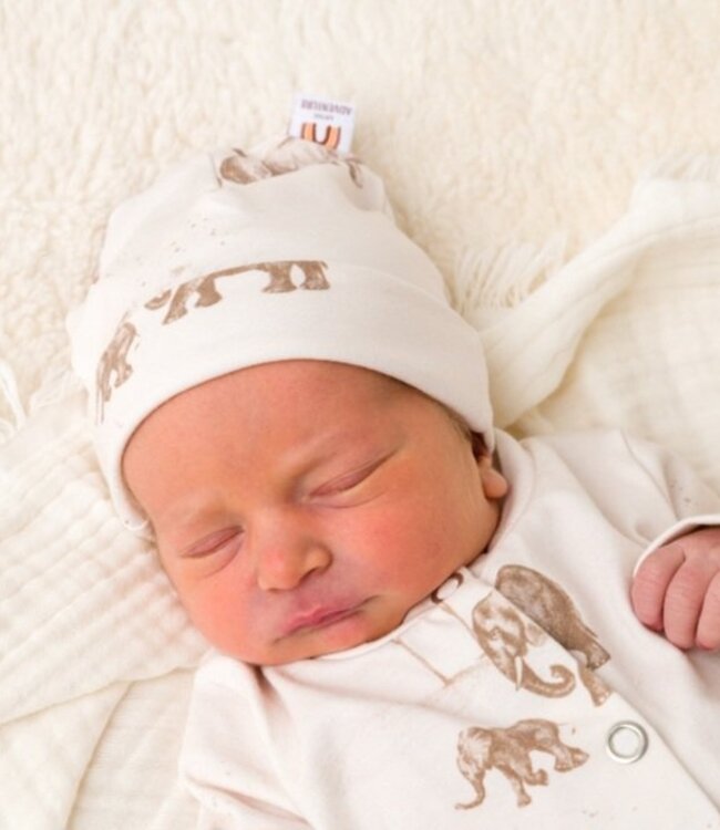 Little Adventure Mutsje Jungle