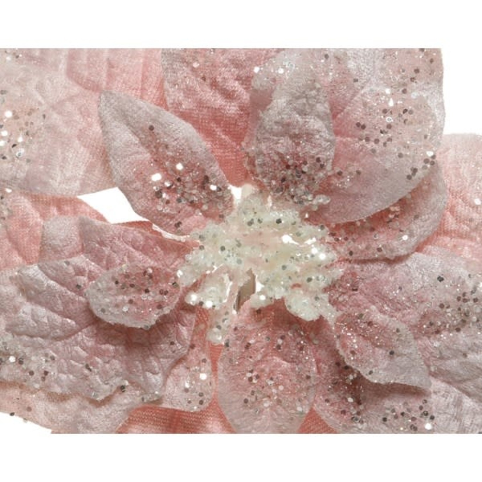 Kaemingk Poinsettia on clip polyester velvet glitter blush Pink 26x7cm