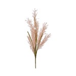 Pampas Grass on Stem Polyester Snow H75cm Natural