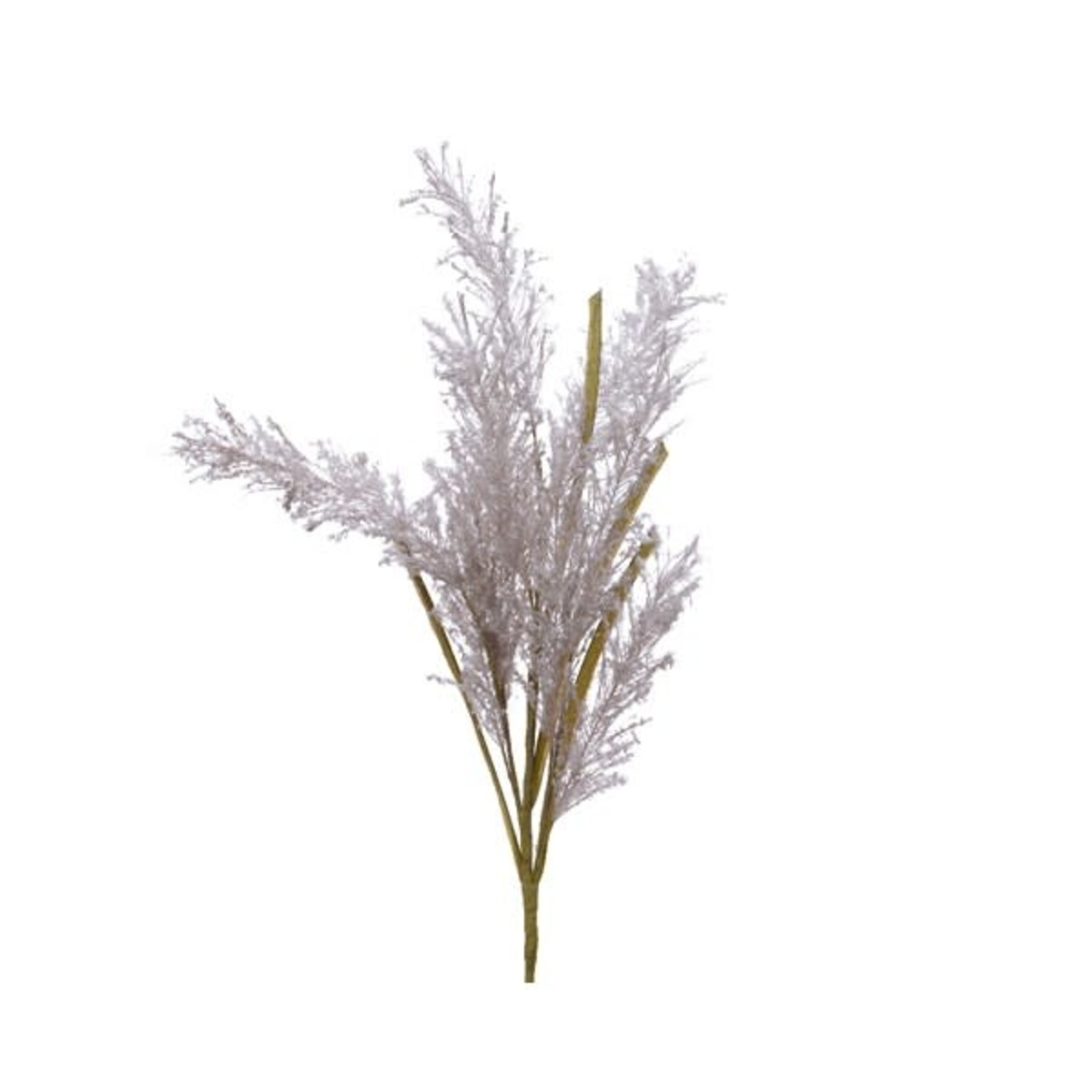 Pampas Grass on Stem Polyester Snow H75cm Grey