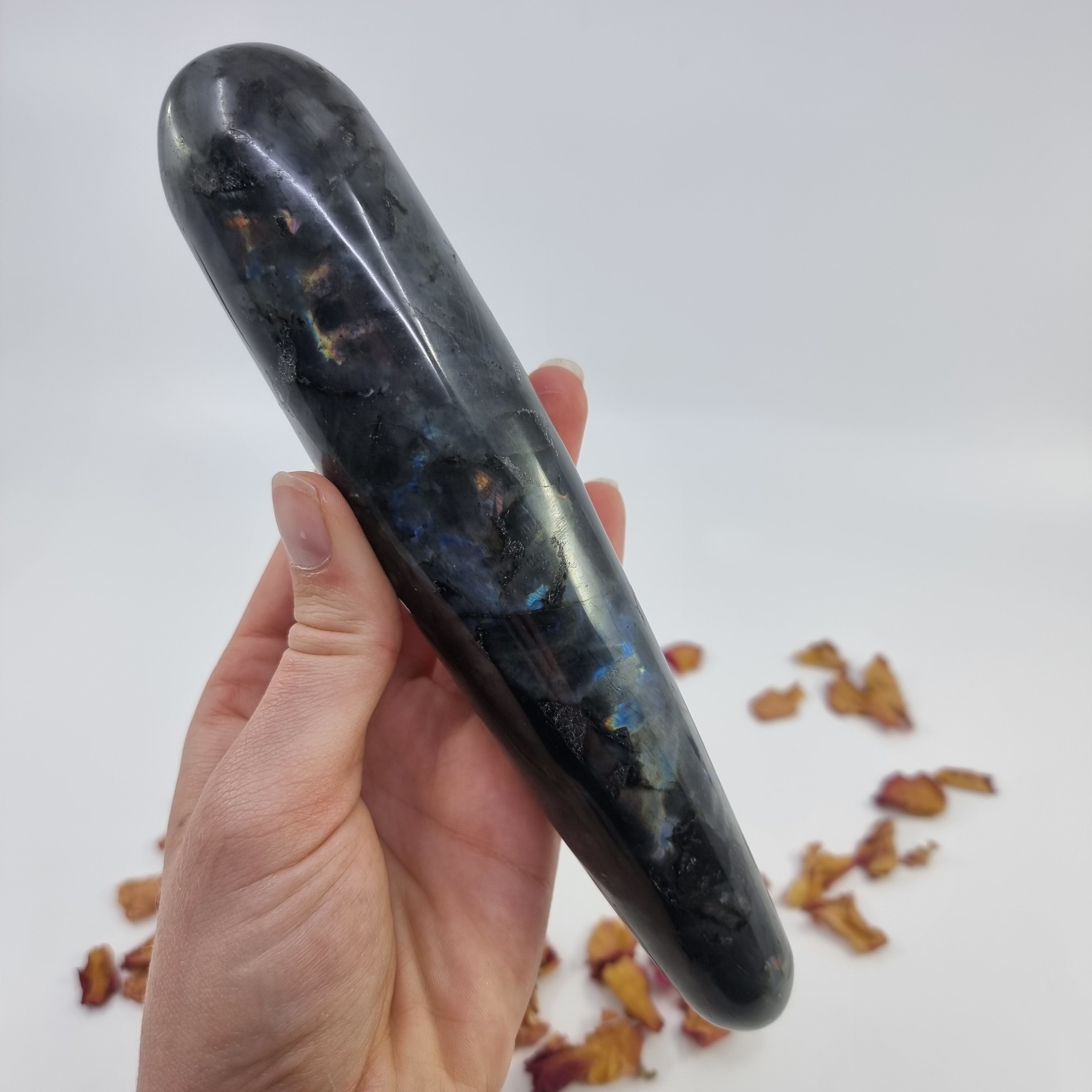 Labradoriet pleasure wand