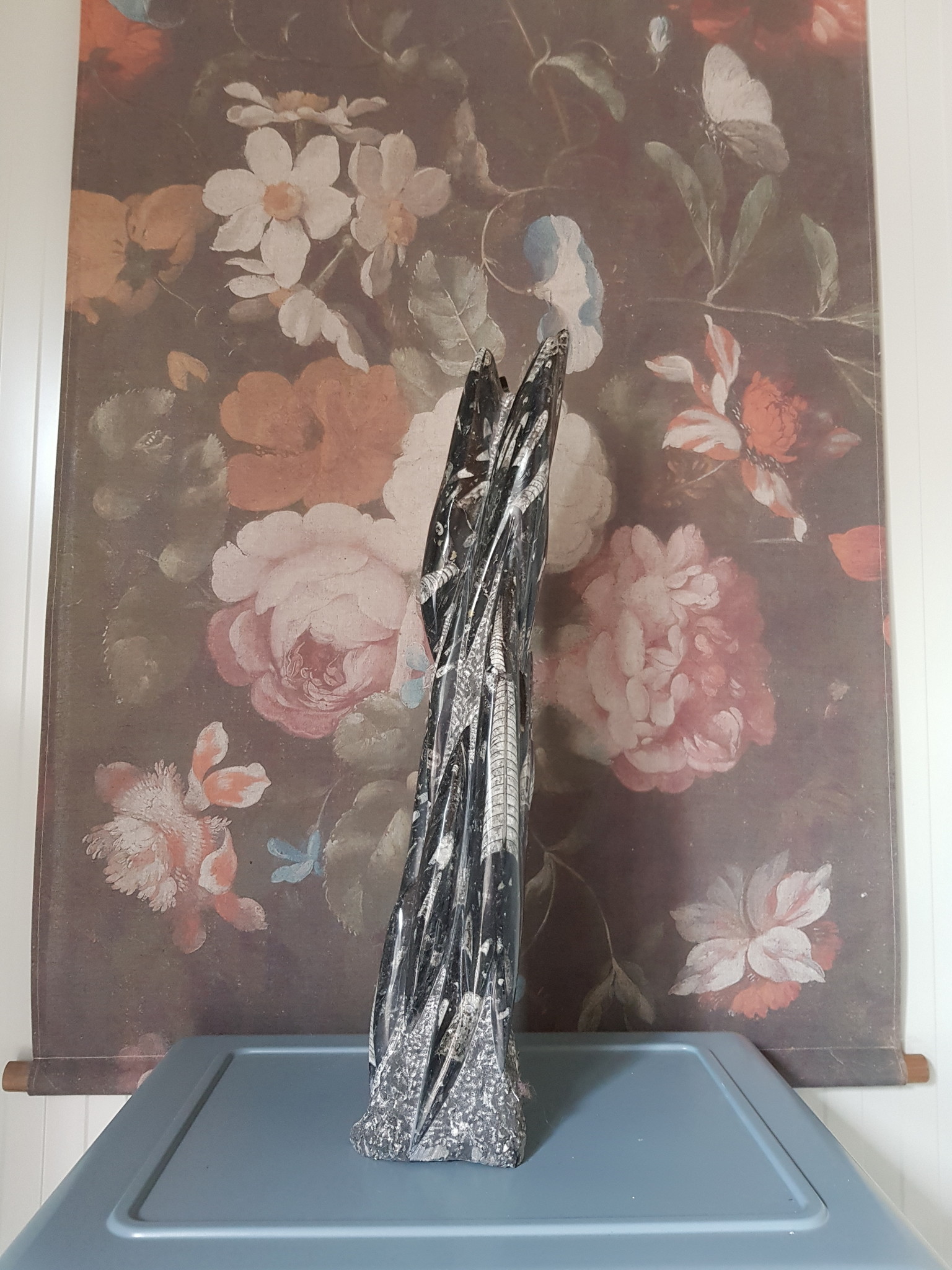 Orthoceras sculptuur