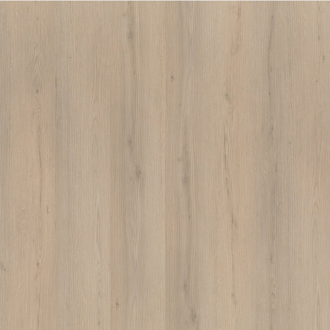 Barnet Dryback Beige