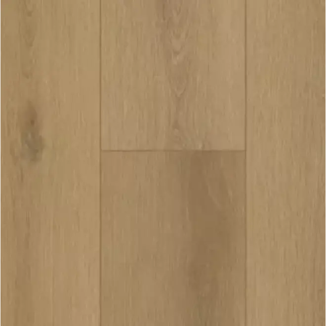 Gelasta Firmfit 6502 Sierra Natural Dryback