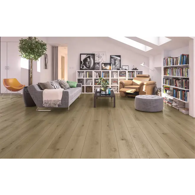 Gelasta Firmfit 6502 Sierra Natural Dryback