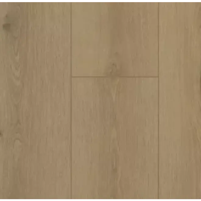 Firmfit 6501 Sierra Beige Dryback