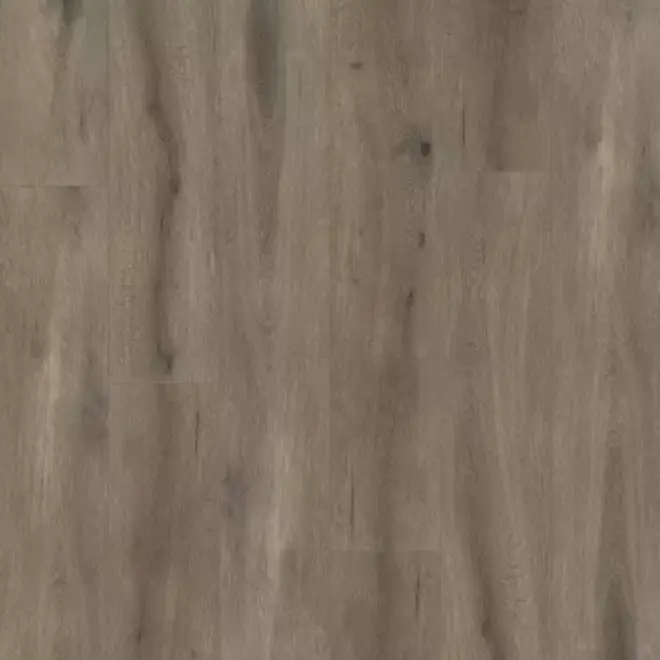 Gelasta Callisto Natural Oak Brown Dryback 4105