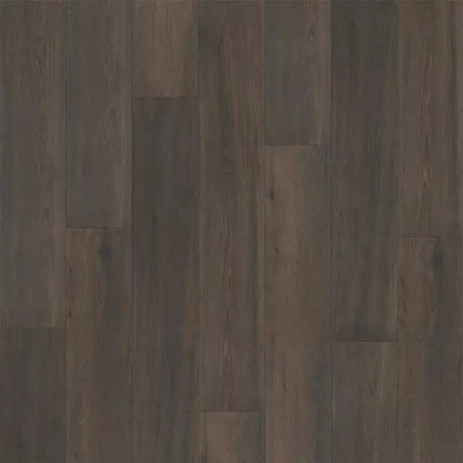Elite Classic V4 Aqua Tara