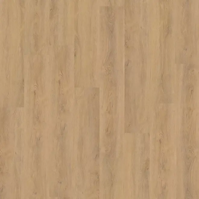 Parramatta Click Natural Oak