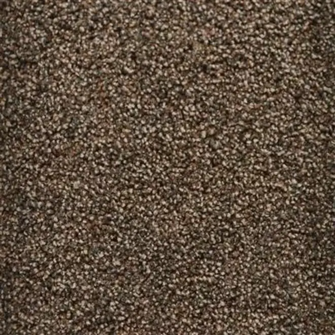 Entrance Dry Running Mat Mocha