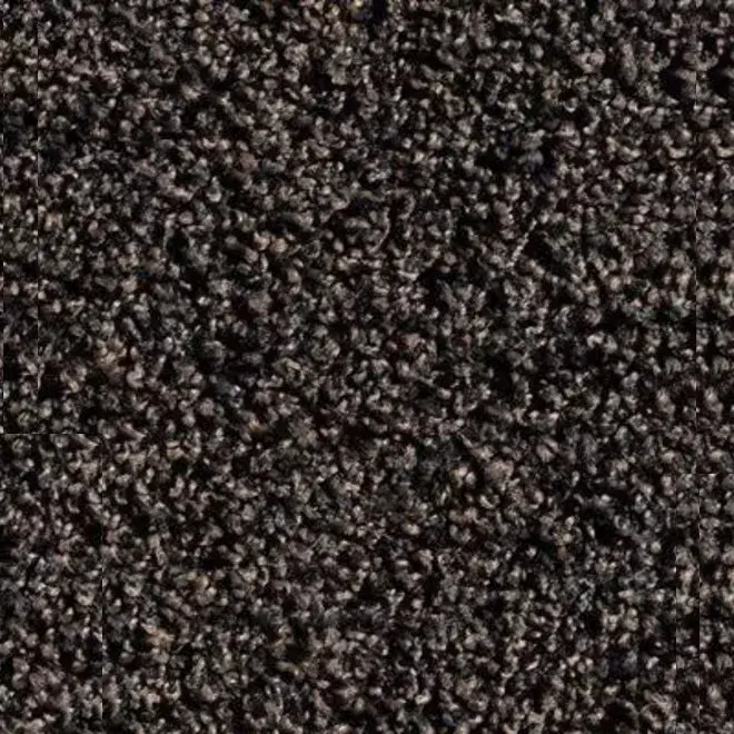 Entrance Dry Running Mat Blackbrown