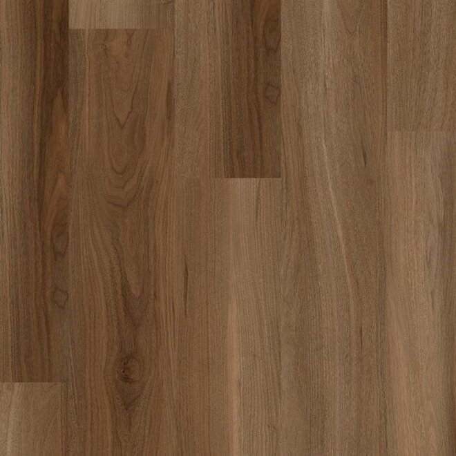 Sur Plus Royal Walnut 85