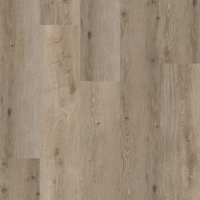 COREtec Sur Plus Noble Oak 55