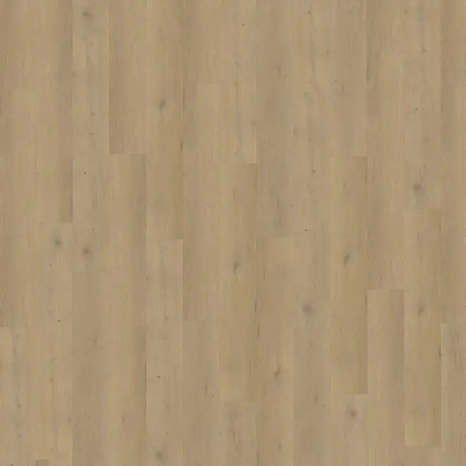 Attico 870 Dryback PVC Floor Netherlands