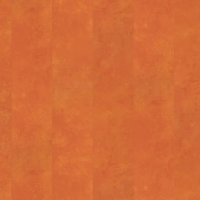 Ambiant Viretto dryback orange