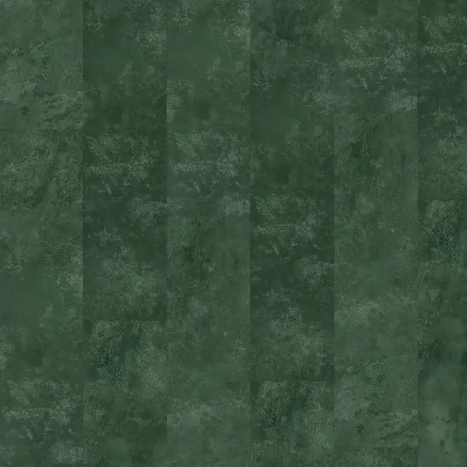 Ambiant Viretto dryback dark green