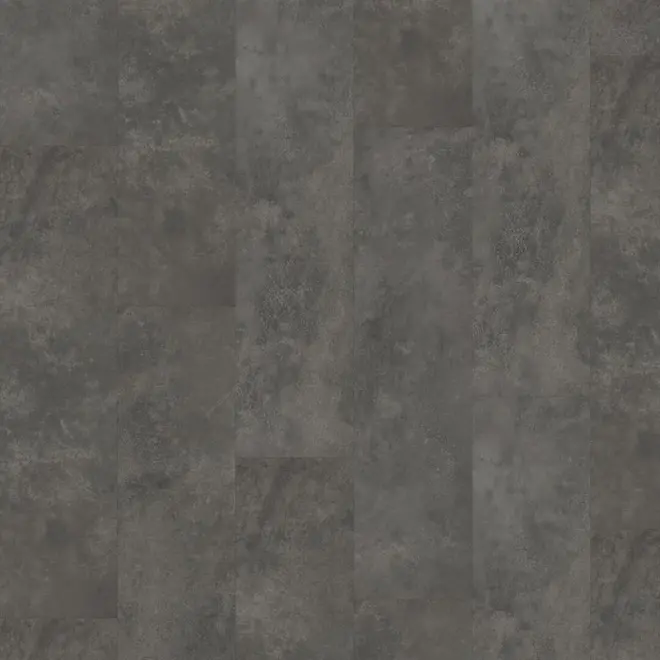 Finsbury dryback grey